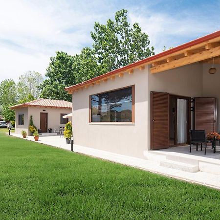Athos View - Golden Fig Sykia Lodge Paralia Sikias Exterior photo