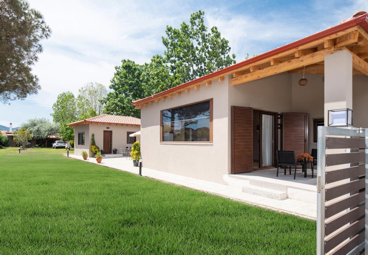 Athos View - Golden Fig Sykia Lodge Paralia Sikias Exterior photo